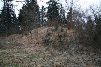  (© Petr Nožička, 12/2009)
