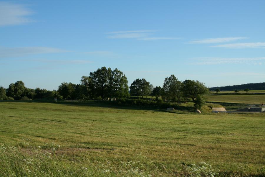 židovský hřbitov