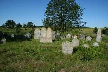  zadní část hřbitova  (© Petr Nožička,6/2009)
