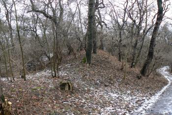 Vnitřní val (© Prudký Martin, 12/2009)
