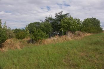 celkový pohled od jihu ( © Milan Caha 08/2008)