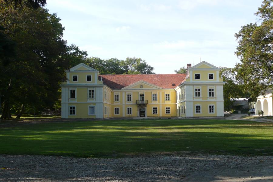 Diváky