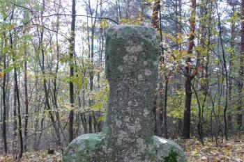 strana odvrácená od cesty (© David Hamza, 11/2009)
