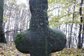 strana přivrácená k cestě (© David Hamza, 11/2009)
