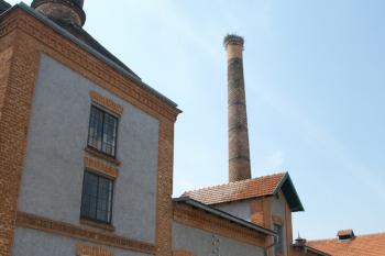  ( © Milan Caha 05/2011)