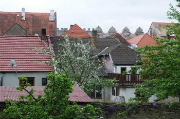  (© Karel Husák, 05/2010)