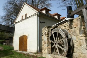  (© Milan Caha  04/2013)