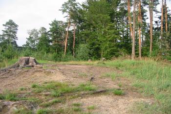 Jádro tvrziště (© D Dohňanský, 08/2014)