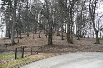 pohled na lokalitu od severovýchodu z ulice Pod Skalkou ( © Jan P. Štěpánek 03/2008)