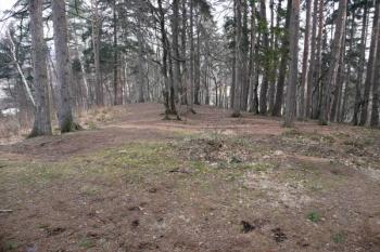 pohled z vrcholového kruhového plata lokality na její klesající severovýchodní část ( © Jan P. Štěpánek 03/2008)