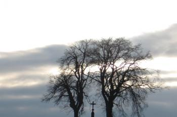 Hlaváčkův kříž (© Jan Celý, 01/2010)