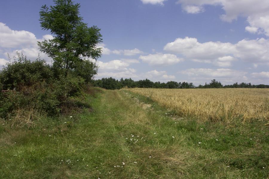 Na Hradišťanech