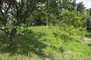 zbytek valu na zahradě čp. 38 ( © Milan Caha 06/2008)