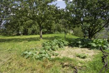 zbytek valu na zahradě čp. 38 ( © Milan Caha 06/2008)