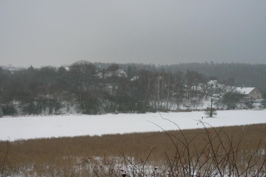 Vrapice
