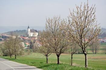  (© Josef Žajdlík, 04/2009)