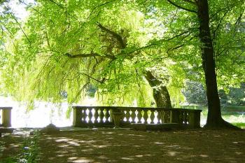 přístaviště u rybníka v zámeckém parku (© Petr Kovařík 07/2003)