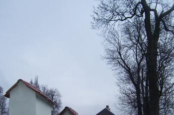 alej vedoucí k zámku (© Michal Schuster, 01/2010)