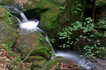 Suchá Kamenice (© Michal Brůža, 07/2009)