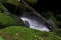 Suchá Kamenice