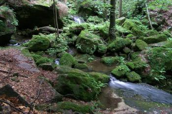 Suchá Kamenice (© Michal Brůža, 07/2009)