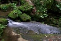 Suchá Kamenice