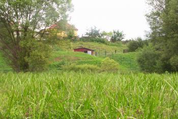 tvrziště od východu - z nivy Nezdického potoka ( © Milan Caha 07/2008)