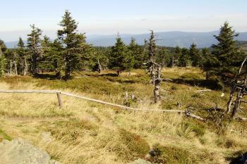 výhled z Vozky směrem na Červenou horu (© Zuzana Holasová, 10/2009)