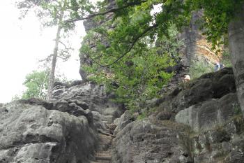  (© Nikola Mildová, 06/2012)