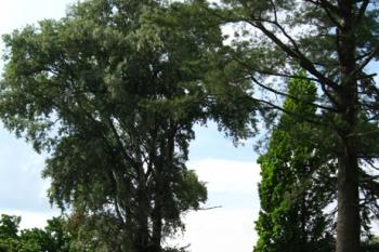  (© Klobouk, 05/2010)