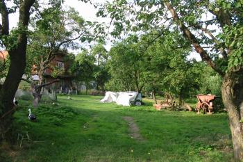 hlavní lokalita tvrze (© D Dohňanský, 07/2014)