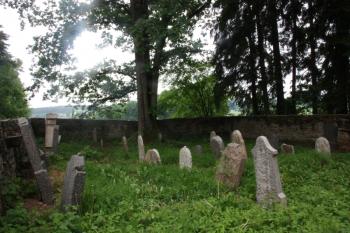 Západní část hřbitova ( © Ivan Grisa 05/2011)
