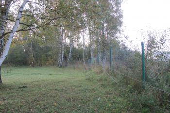 pohled na pravděpodobné místo areálu tvrziště /vzadu/,vpravo severní oplocení lomu (© D Dohňanský, 10/2017)