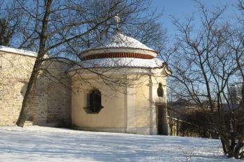  ( © Milan Caha 01/2010)