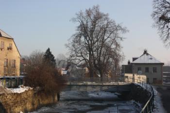 Pohled proti proudu Jeřice ( © Ivan Grisa 01/2010)
