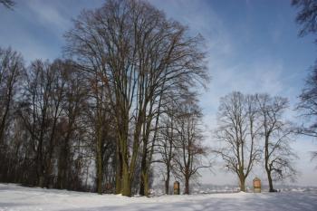 Areál Křížové cesty severně od kostela ( © Ivan Grisa 01/2010)