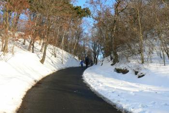 Zářez do valu s přístupovou komonikací k hradu (© Prudký Martin, 01/2010)