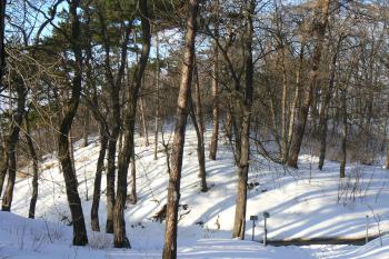  (© Prudký Martin, 01/2010)