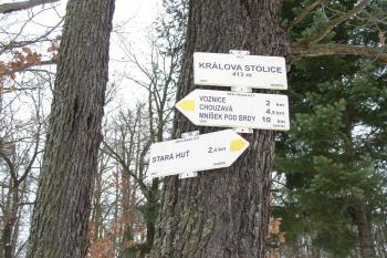 Rocestník Králova Stolice ( © Jiří Čížek 01/2010)