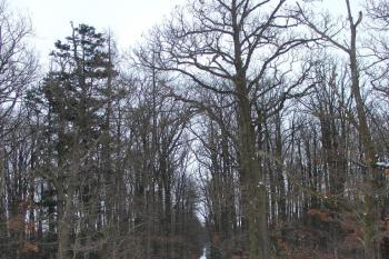  ( © Jiří Čížek 01/2010)