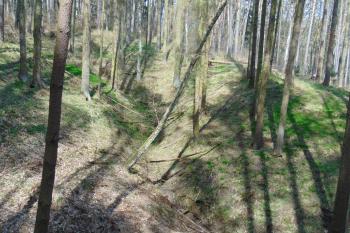 Vých. přírodní příkop /úžlabina/ od jihu (© Dušan Dohňanský  04/2021)