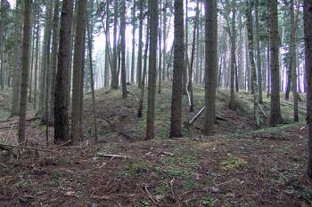  ( © Roman Řezáč 12/2009)