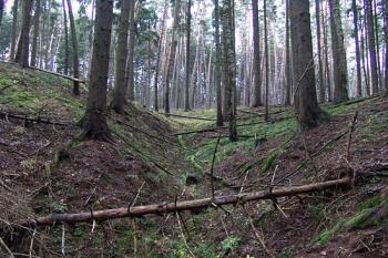  ( © Roman Řezáč 12/2009)