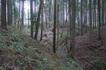  ( © Roman Řezáč 12/2009)