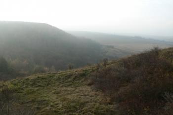 Jižní svah (© Prudký Martin, 11/2010)