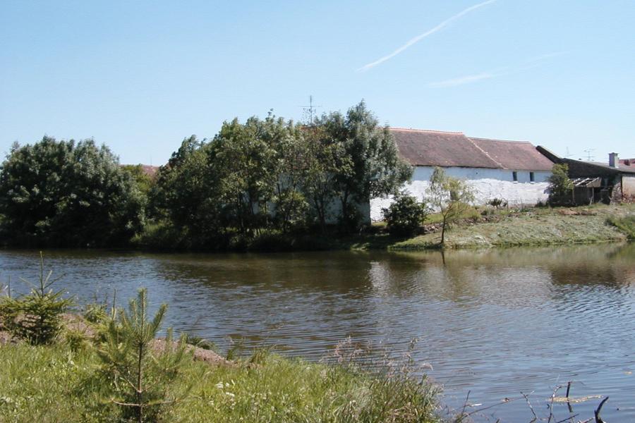 Ctidružice