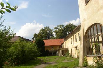 Choustník (© Jan Šebek, 07/2008)