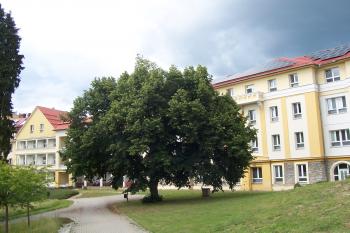  (© Ivo Rozehnal  07/2022)