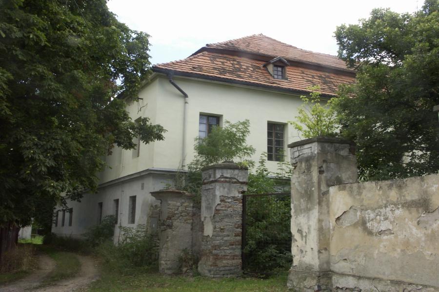Tmaň