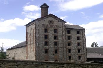 hvozd ( © Milan Caha 08/2008)